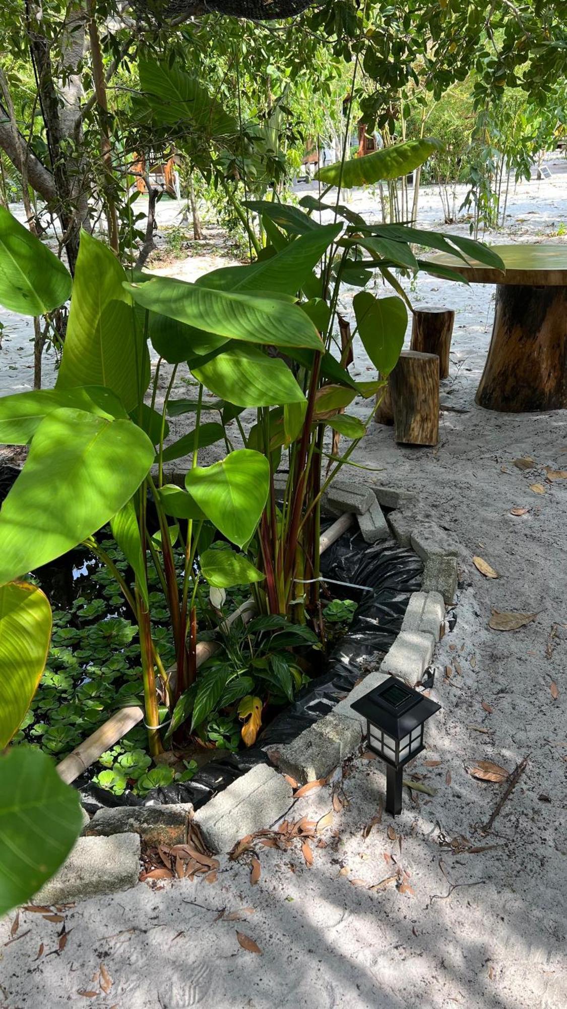 Golden Chenang Village Pantai Cenang  Exterior photo