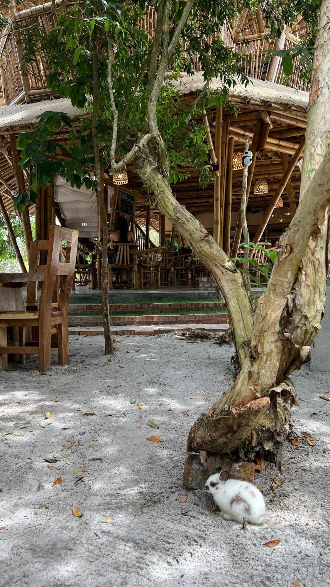 Golden Chenang Village Pantai Cenang  Exterior photo